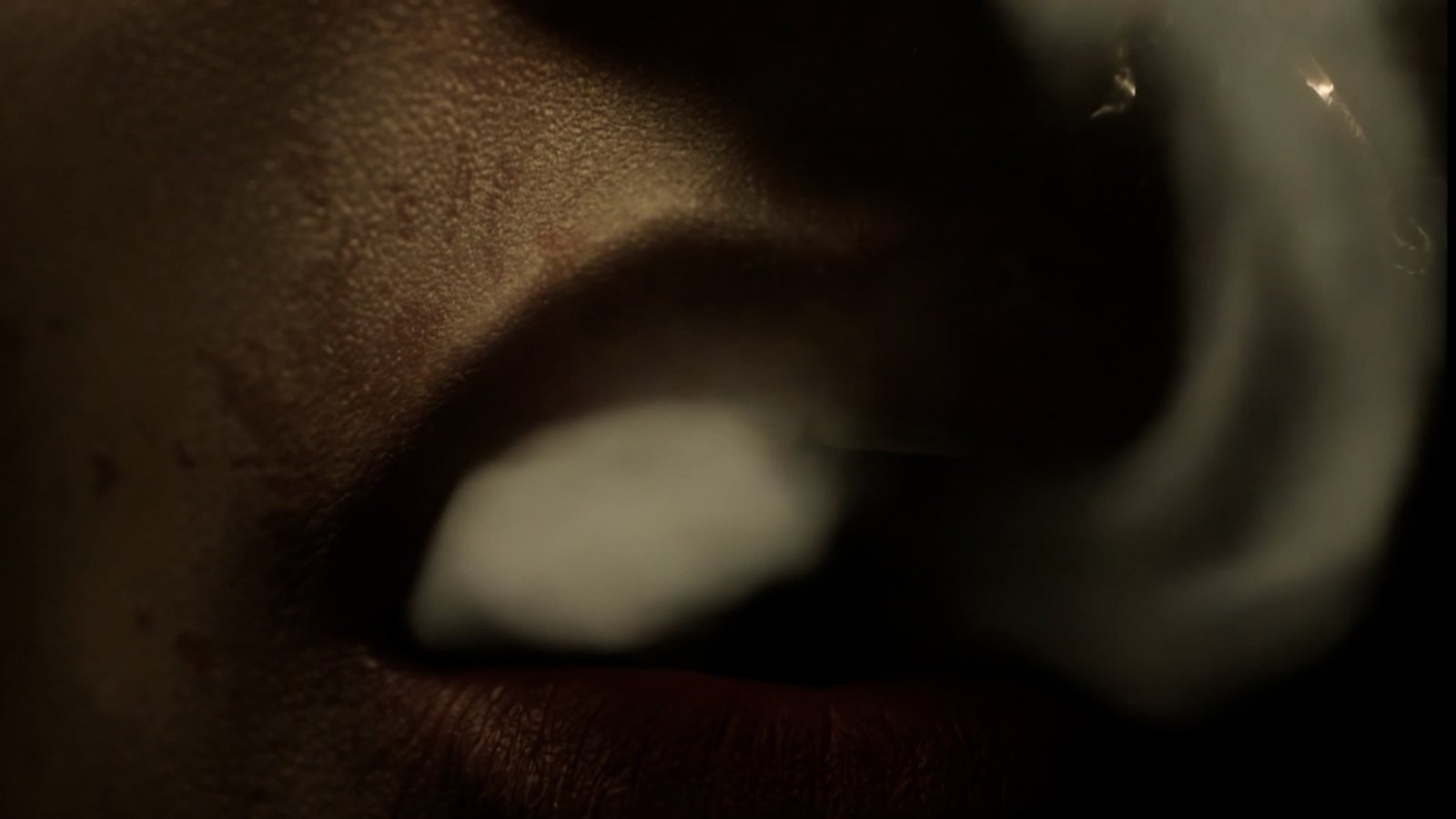 The Manifesto Film